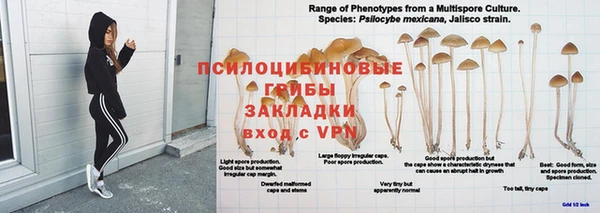 молекула духа Богородск