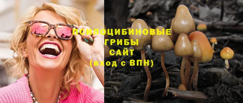 omg зеркало  Калтан  Галлюциногенные грибы Magic Shrooms 